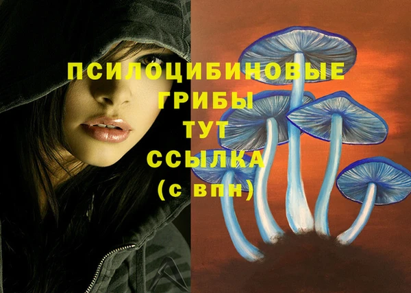 mdpv Баксан