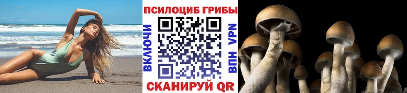 shop формула  Кондопога  Галлюциногенные грибы GOLDEN TEACHER 